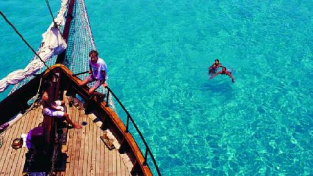 ホエールズテール号（1日）クルーズ