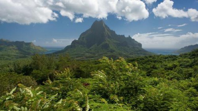 モーレア島内観光 (4WDミニバン＆ウォーキング）