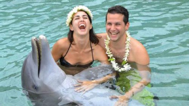 モーレア・ドルフィンセンター ・マネア・プログラム