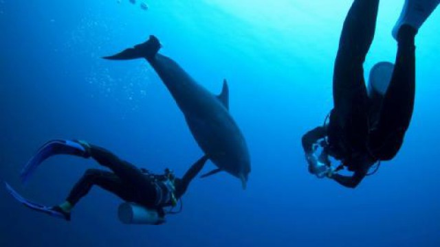 ランギロア島 体験ダイビング