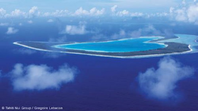 ツバイ島（上陸）ヘリコプター遊覧ツアー