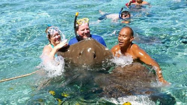 シャーク＆エイ ラグーンサファリ・モツピクニックツアー（1日フルデイツアー）