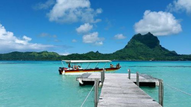 シャーク＆エイ ラグーンサファリツアー（半日ツアー）