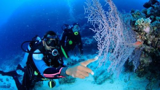 ファンダイビング/2DIVE（イルデパン島）