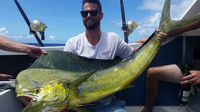 フィッシング・マーリンクイーン