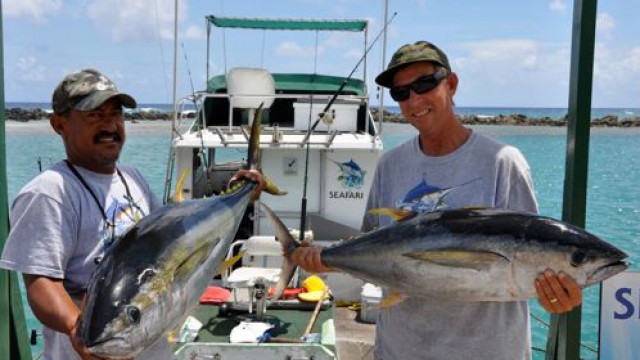 フィッシング・シーファリ・フィッシング