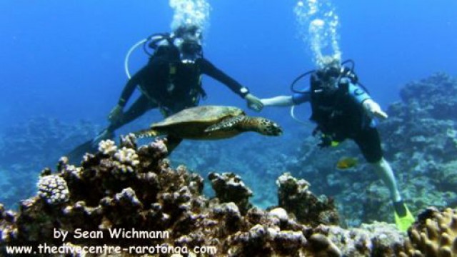 ダイビング・ザ・ダイブセンター