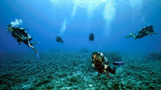 タハア島 体験ダイビング