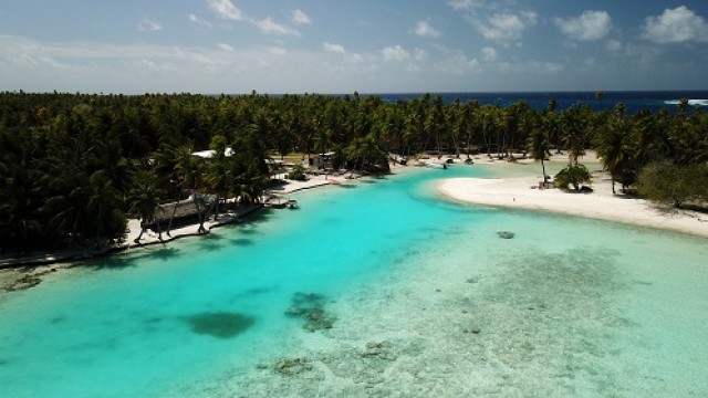 モツピクニック（グリーンラグーンツアー）