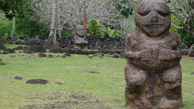 タヒチ島半日観光（東海岸 / 西海岸）英語/仏語ガイド