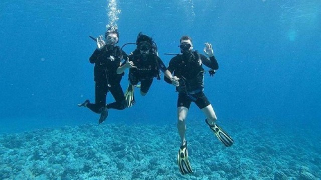 ティケハウ島 体験ダイビング