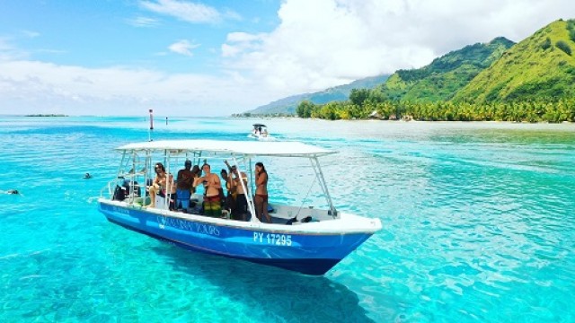 モーレア島 コーラル スノーケリングツアー（午前ツアー）