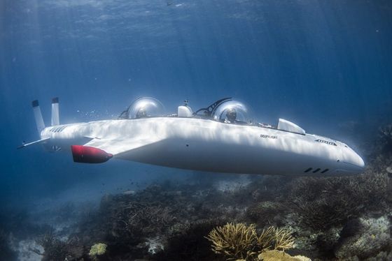 世界最新鋭の潜水艇『Deep fligt』